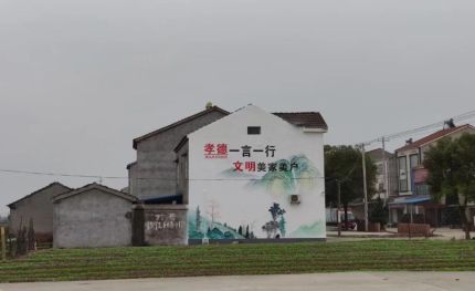 利辛新农村墙绘